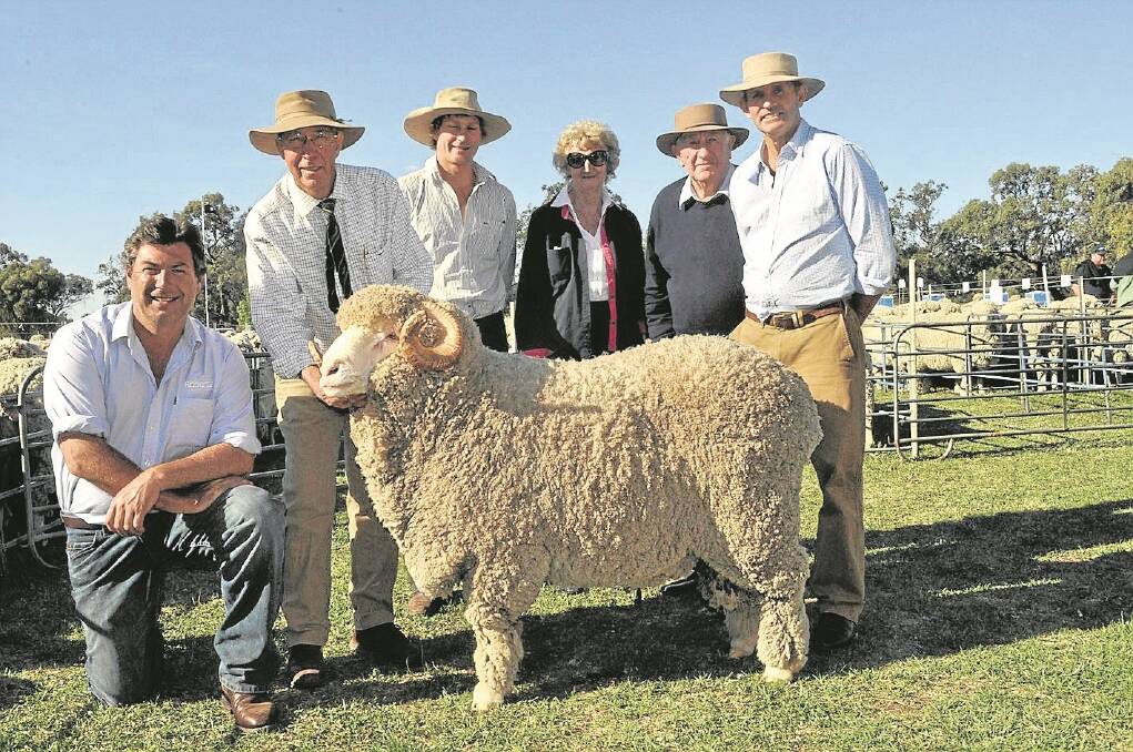 One Oak Merino stud principal Graham Wells; Damian Meaburn, Roberts Limited, Tasmania; and buyers Ben Patrick, Don, Thea and Steve Phillips, Yarrawonga Merinos, Harden, NSW, who paid $30,000 for the top-priced One Oak ram.