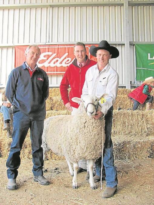 Rodney Willmott, Hanookra Border Leicester stud, Lucindale, SA, with his $5500 top priced purchase; Elders stud stock auctioneer Ross Milne; and co-vendor Ross Jackson, Moyston.