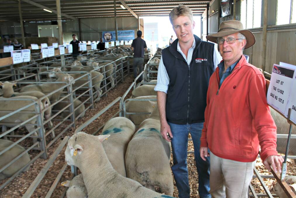 Kerr & Co Hamilton livestock agent Shaun Mansbridge with new client Rob Gardner, Gardner Brothers, South Mokanger, Cavendish who purchased 27 rams to a high of $1200, and av $1041. 