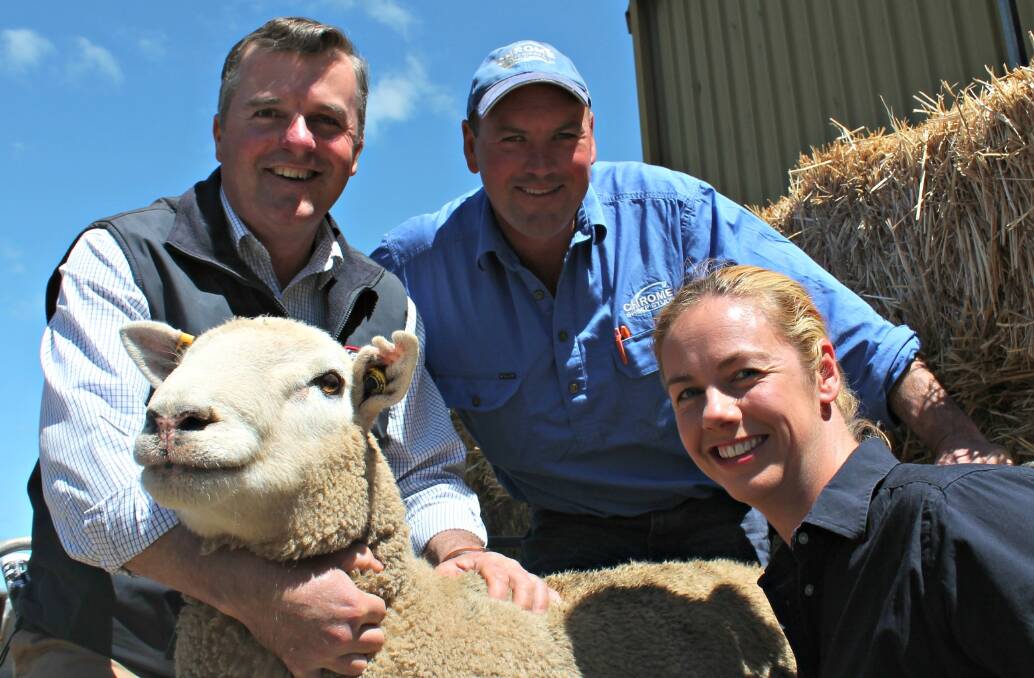 Kerr and Co, Hamilton livestock agent Robert Claffey with buyers of the top priced, $10,200 elite performance maternal ram from Chrome sheep studs, Matthew and Tanya Tonissen.