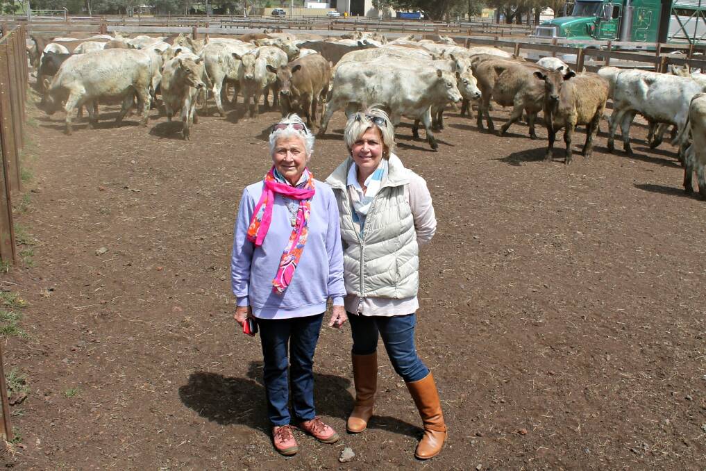 Kit Boyd of Greenhills, with daughter Katrina Boyd-Walsh with 80 Murray Greys steers, weighing 396kc, 16-18 month-old, by Lindsay and Woodburn bulls, which was bought by Garrison Feedlot for 212c/kg. 