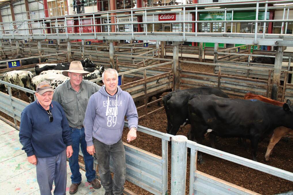 (from left) Don Anderson, Longwarry, and Adrian Damschke, Echuca, came to see how Mark Anderson's, Labertouche, three Fresian-Angus cows with four Limousin calves at-foot (CAF) sold. Vince Nativo bought all four on behalf of Drouin Quality Cut Butchers, paying $1200 for the cow with twin CAF and $1240 for the other two units.