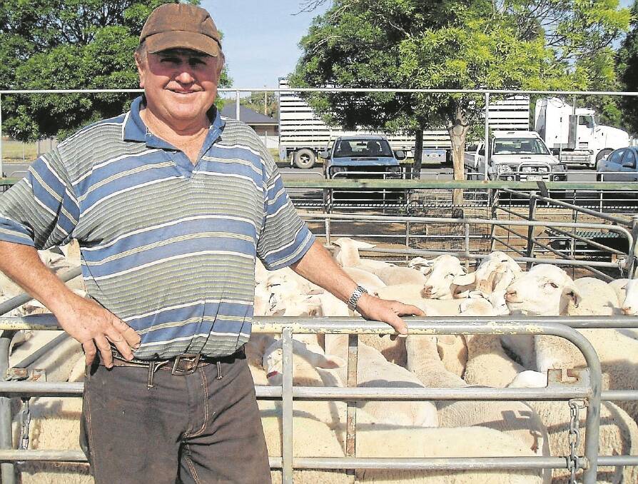 Kelvin Lambert, Merbein, had a pen of good quality Dorper lambs that made $104. The lambs had been in a paddock and were second at the Mildura Show.