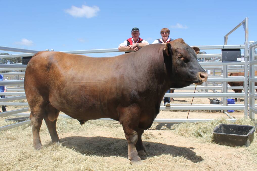 Jeff and Sue Boland hosted the second annual Red Angus sale at their Clyde property and had the sale topper - Claremont Red Heartbreaker that sold for $4500.