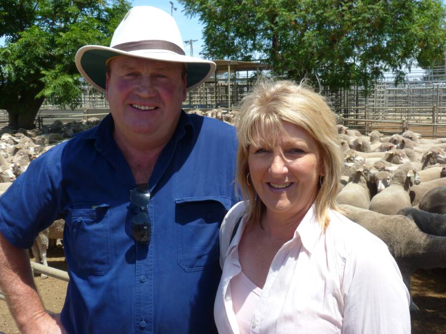 Buyers were able to find value at the Swan Hill sheep sale today.