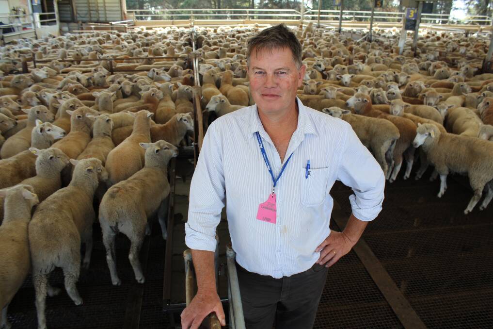 Southern Prime Lamb Group president Leigh Harry says meat quality and yield will become the most important measures in sheep production as lamb meat continues to be a luxury item.