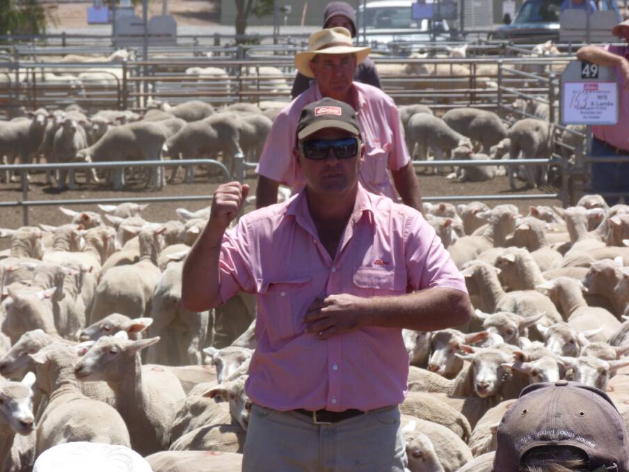 A big gallery of buyers turned up to the sheep sale.