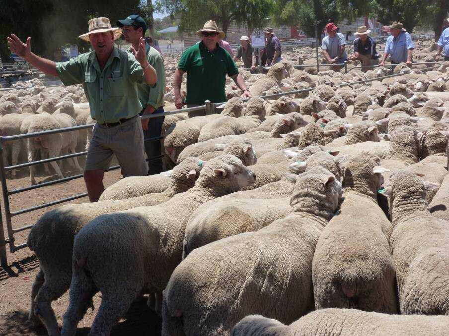 Landmark auctioneer Peter Paling plays to the camera as he calls for final bids on a line Collinsville-blood ewes at sold Wycheproof for $128 a head.  