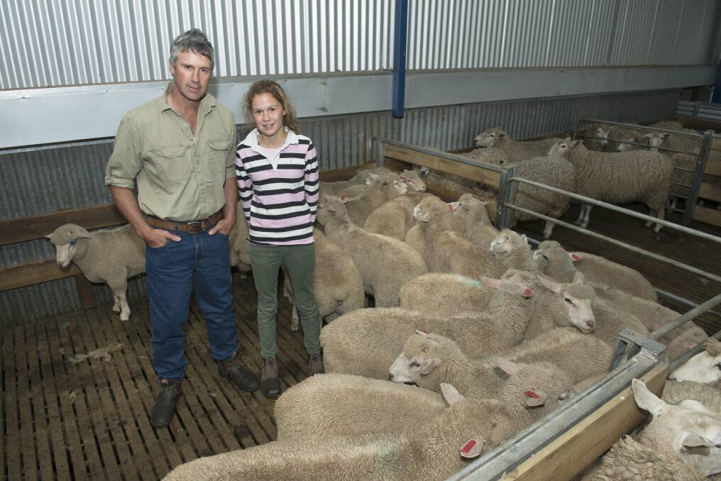 Aaron Pascoe and daughter Claudia with some of their Charollais-cross lambs.