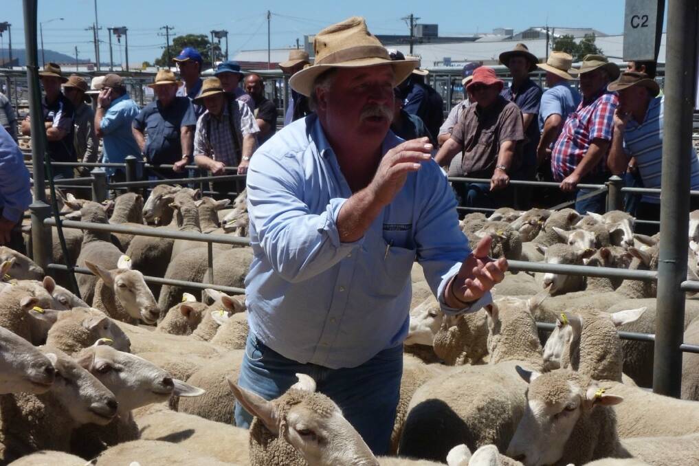 Crawford Dowling auctioneer, Paul Constable knocked down the opening pen of the Ballarat crossbred ewe sale at $213.