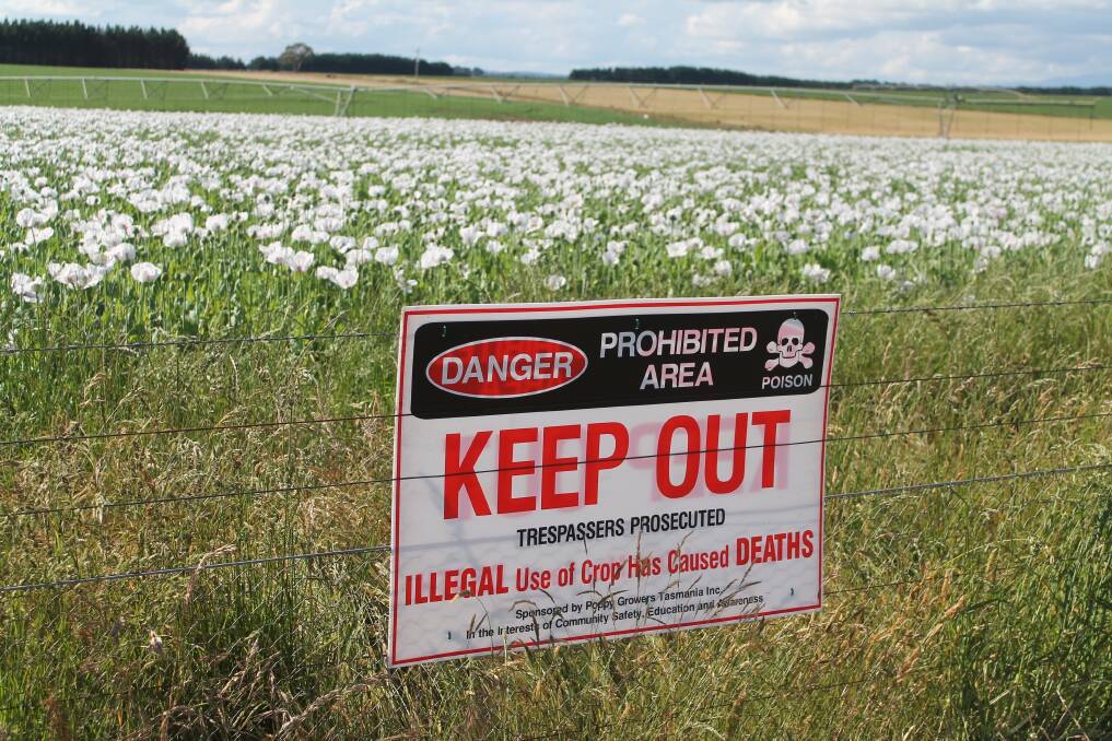 Poppy growers urged to stay vigilant