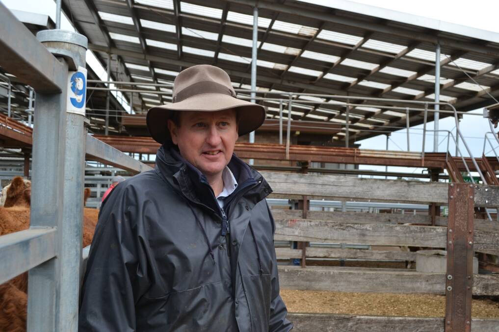 The cattle herd is reportedly at historically low levels and all indications suggest there are not the numbers in the north to satisfy the likely demand. - TERRY MCMEEL, Hamilton Stock Agents president