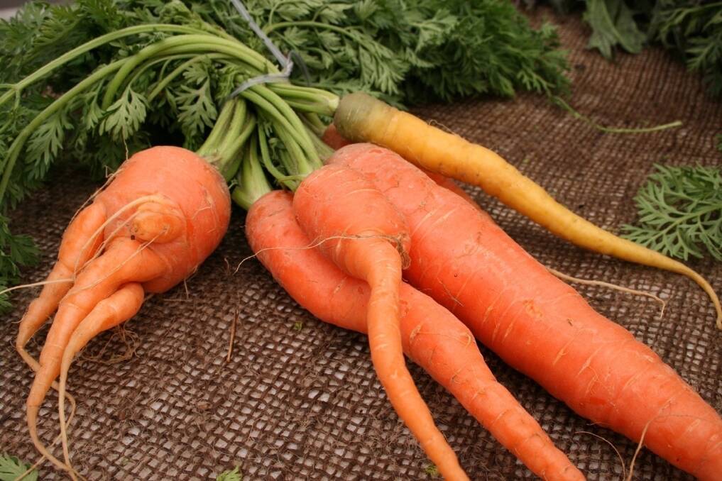 Even ugly carrots are beautiful to someone. Photo: Katharine Shilcott/flickr.com