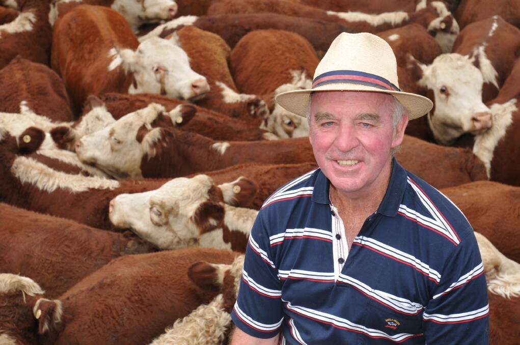 Paul Mason, Wellington, NSW paid the sale high of 240c/kg lwt, for John and Liz Craig, of Inverall, Hamilton, 89 Yarram Park and Injemira blood Hereford steers, weighing 258kg. 
