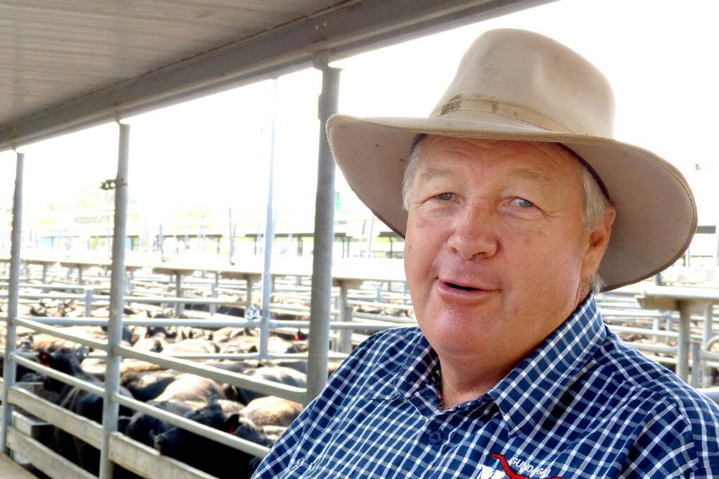 Jim Saunders, MSS livestock agencies, Gundagai and Tumut, was one of the northern buyers surveying the cattle at Wodonga.