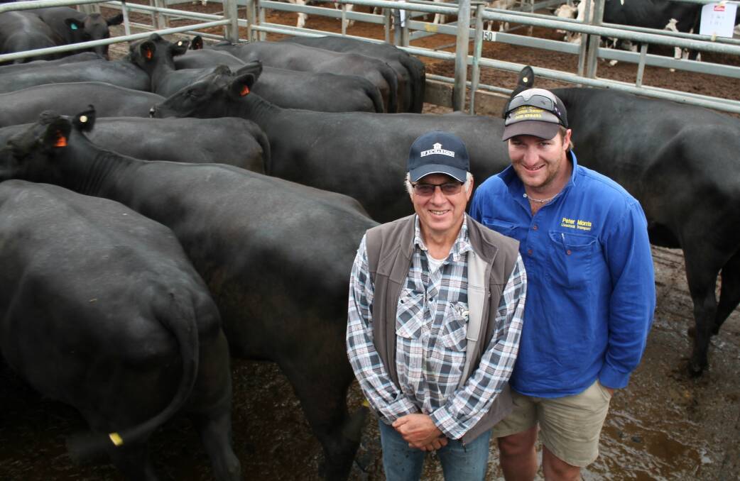 Eddie Kondys, Chapplevale of Parrook Partners with livestock transporter Peter Morris. Pictured with 13 Angus-Friesian cross heifers, 2.5years-old, PTIC to Mandayen Limousin bulls.
