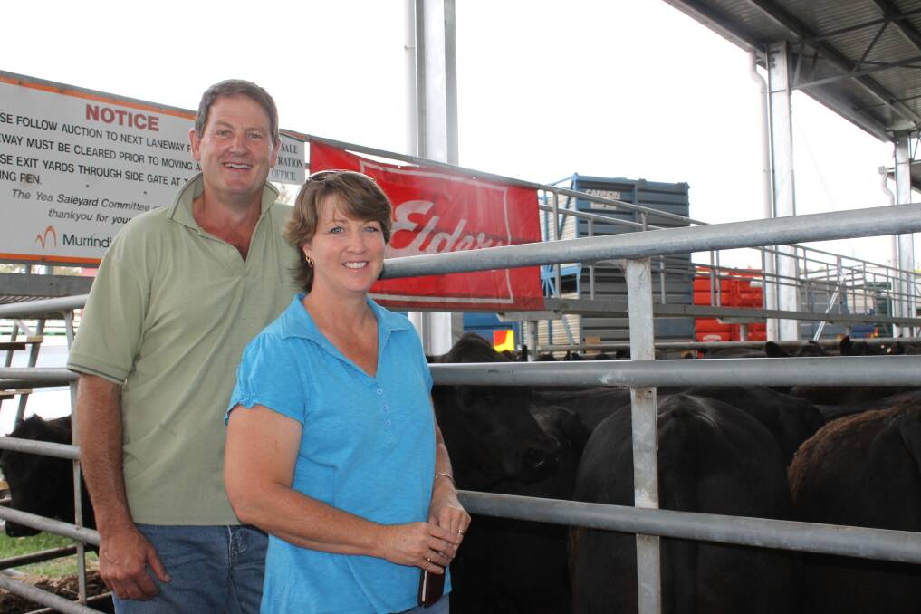 Michael and Sue Spagnolo, Box Hill Pastoral, Yea, with their sale topping pen - 20 Angus steers, 455kg, Connamara-blood, that sold for $1050.