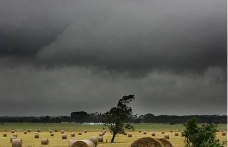 Western rain too late for graziers