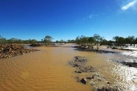 Pastoralists have welcomed the recent rain, which came after long periods of drought in the state's north.