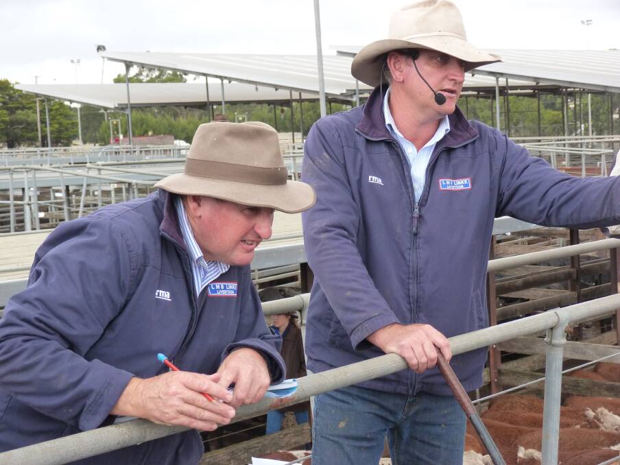 Auctioneer Bernie Grant and LMK Linke partner Terry McMeel in action at the Hamilton Britsh breeds sale on Wednesday.