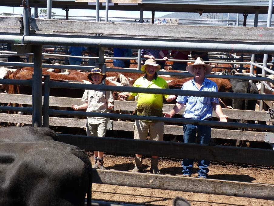 Graeme Hoffmann (centre) and grandson Nick, and the unknown farmer, are saying "Have a look a this". Graeme sold 18 Angus and Angus-Shorthorn steers, The Grange Angus blood, for $935 at the Wodonga all breeds weaner cattle sale.