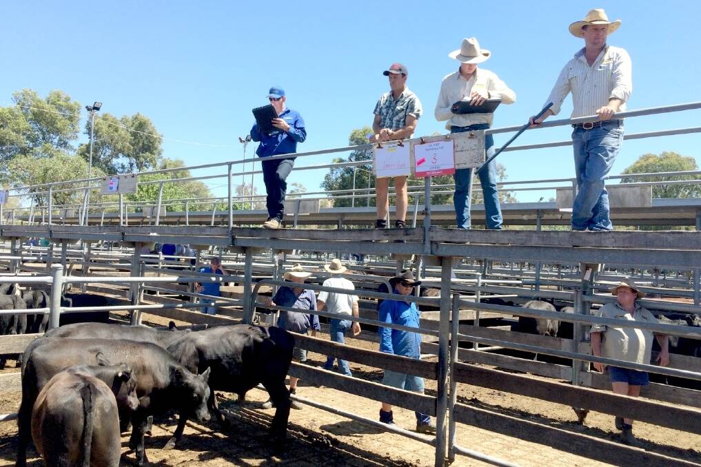 Strong weaner prices continue