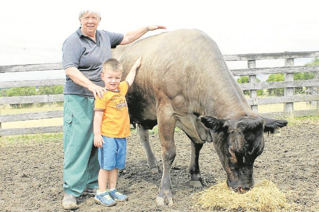 Baleze Bazadaise principal Faye Tuchtan and grandson Oscar, 4, with 11-year-old cow Yolanda with 10-week-old bull calf Koster at-foot.