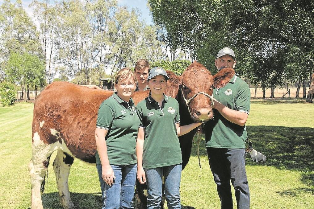 The Morham family, Finley, NSW, jumped straight into the cattle showing circuit after forming the Morham Maine-Anjou stud seven years ago. Youngsters Jarrod and Brooke (centre) have taken to parading the cattle, and are supported by parents Karen and Brain.