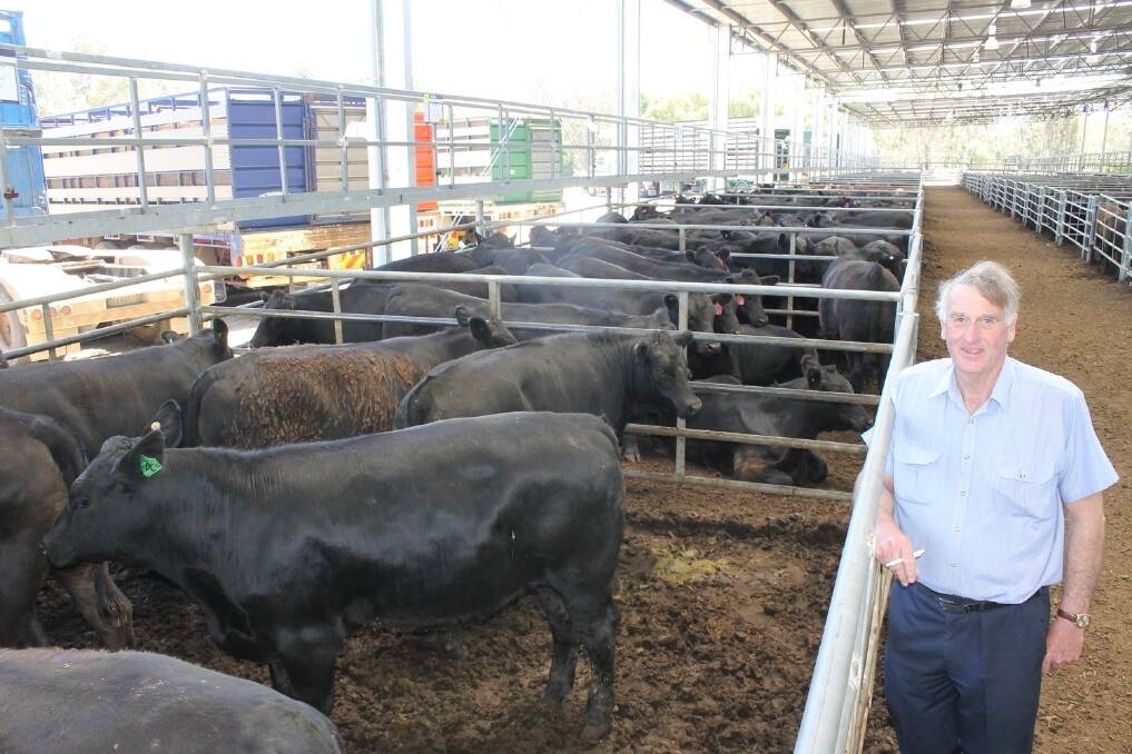 Les Bennett, Woodend, had the top-priced steers ($1045 for this pen of 20) and heifers ($820 for the first 20) at the weaner sale at Yea today.