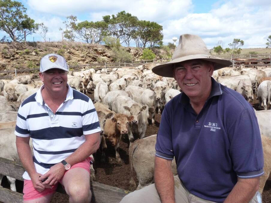 Andrew Robertson, Goroke and Andrew McIllree, DMD Nhill with their load of Charolais steers purchased at Warrnambool