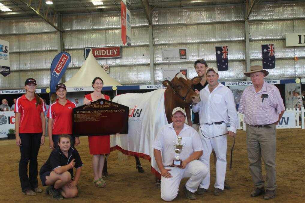 All-breeds champion Wallumlands Sunstorm 8 with IDW helpers Ellie Lord, Ellie Falkenberg and Rachel Lucich; City of Greater Shepparton Council's Fern Summer, co-owners Ben Govett, Glen Gordon and Daniel Bacon and breeder Terry Tidcombe.