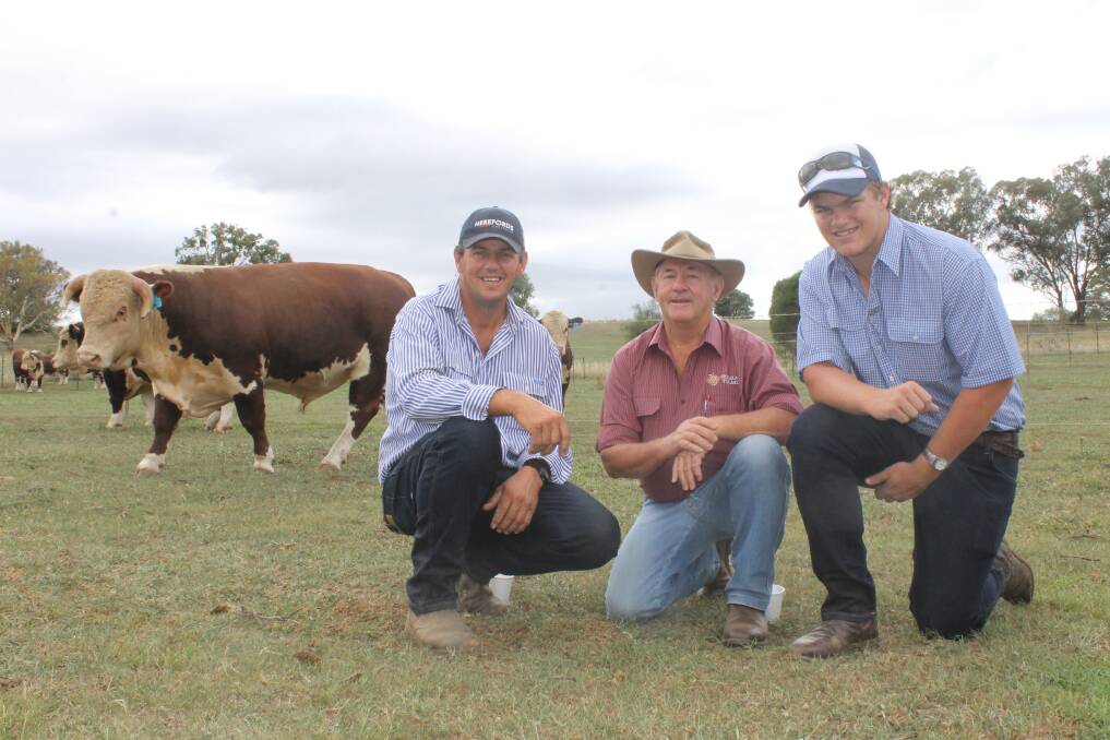 Beef Week day one – southern NSW