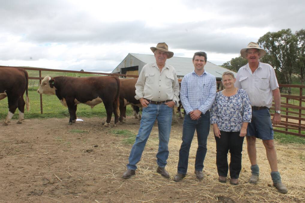 Peter Quinn and Ryan Scetrine of Allflex, with Rose View Herefords principals Janelle and David Manwaring, pictured with bulls that are just over 12 months old.
