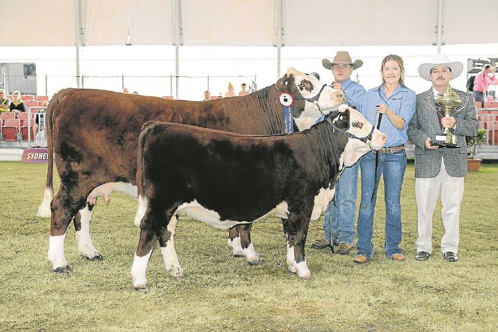 James McWilliam, Holbrook, NSW, finace Belinda Muller and judge Kelly Ruzner, Boggabilla, NSW, with the champion Poll Hereford exhibit Kanimbla Centrefold-G58 and calf after their win at the 2014 Sydney Royal Show.