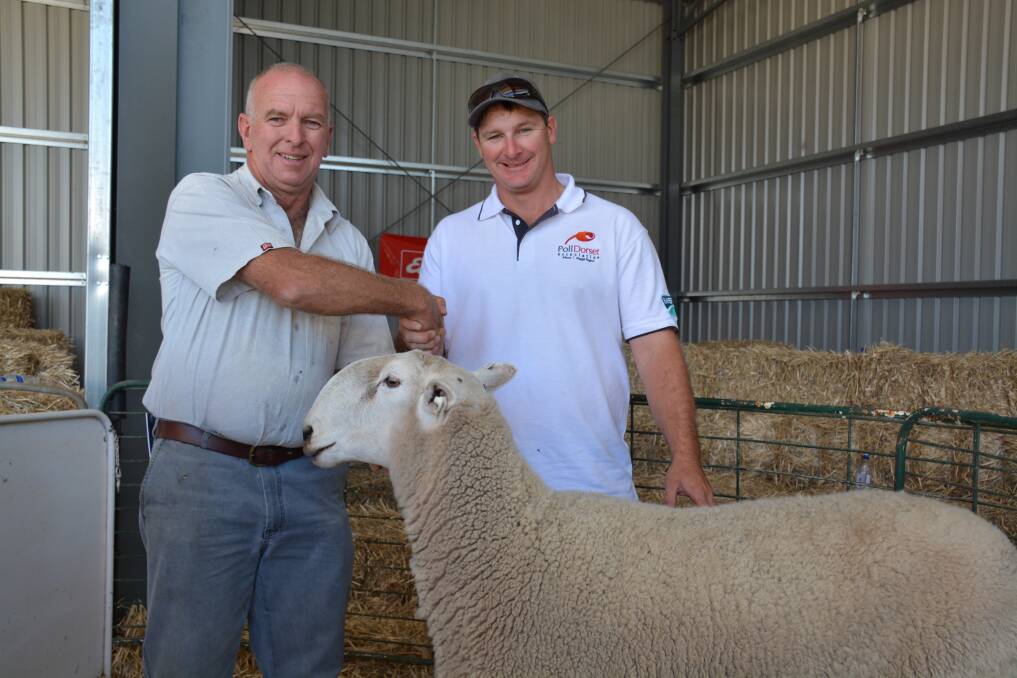 Campaspe River principal Ian Micheel was pleased with the price and clearance at his stud's dispersal sale. He is pictured with top price ram buyer Rob Frohling, Hovell stud, Burrumbuttock, NSW, and Campaspe River Huey 3rd which he purchased for $3700.