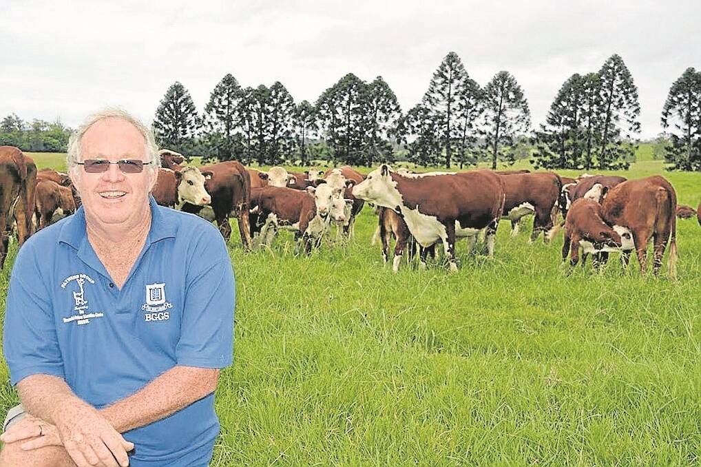 Peter Hall, pictured on his Tunglebung farm, is excited about the impact of the Cotmore Project on increasing traditional Hereford genetics.