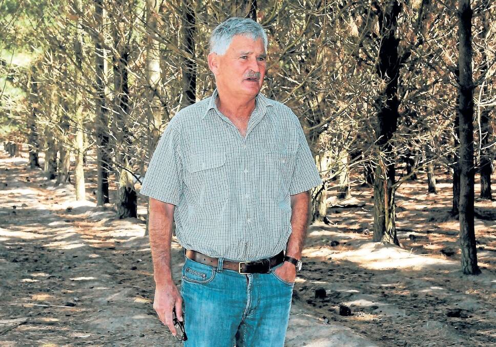Retired Northern Midlands farmer David Gatenby says landowners are sick of waiting for an outcome on land leased to collapsed timber giant Gunns. Photo: NEIL RICHARDSON