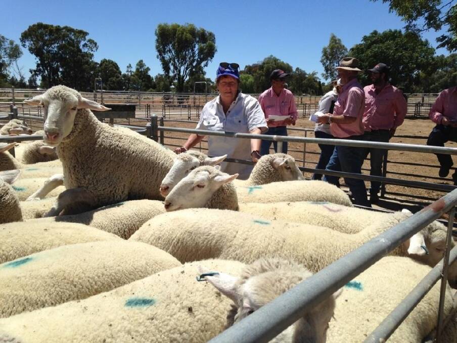Audrey Martin, Riverton Lodge, Barham,  with her heavy export lambs that topped the Swan Hill market recently at a staggering $195/hd.