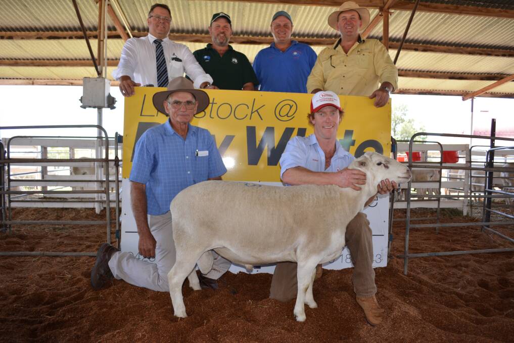 Auctioneer Michael Glasser, GTSM, Albury, NSW; vendor Josh Clinton, Camden Valley Australian White stud, The Oaks, NSW; vendor Robert Gilmore, Ardess Australian Whites, Oberon, NSW; Craig Pellow, Ray White Rural Temora, NSW, (front) top buyer Allan Moulds, Kombia, Naradhan, NSW, and vendor James Gilmore, Tattykeel, Oberon. They are pictured with Tattykeel 140024, that sold for $3100.