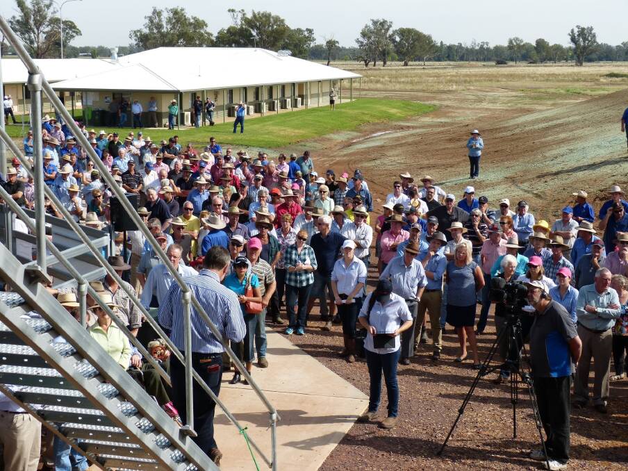 The official opening of the new Barnawatha selling complex, replacing the old Wodonga yards, saw a huge crowd watch the ceremonies. 