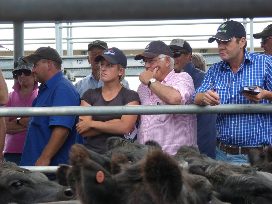 Richie Mann and daughter, Posie,  of Penshurst competed on grown heifers to possibly join at the Ballarat feature female sale, with the market's major feeder buyer Roger Stanton, Thomas Foods International in close proximity.
