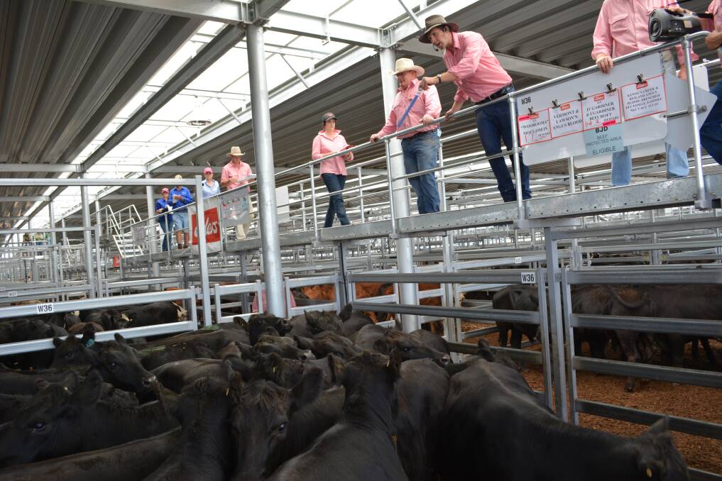 The  VFF will write to the ACCC asking it to investigate the alleged boycott at Tuesday's prime sale at Barnawartha.