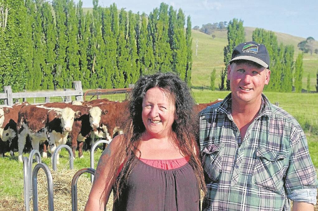 Phil and Kerry Geehman, Ensay, have consistently had the top-priced pen at Ensay’s cattle sale.