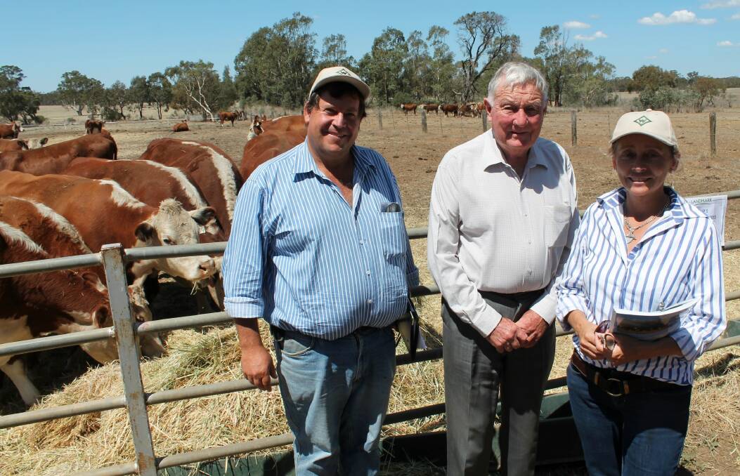 Wirruna Poll Herefords owners Ian and Diana Locke, Spring Valley Holbrook, NSW with Mount Difficult principal Ted Cole (centre). Wirruna Poll Herefords took home six PTIC heifers to av $2167 and six unjoined heifers to av $1317.