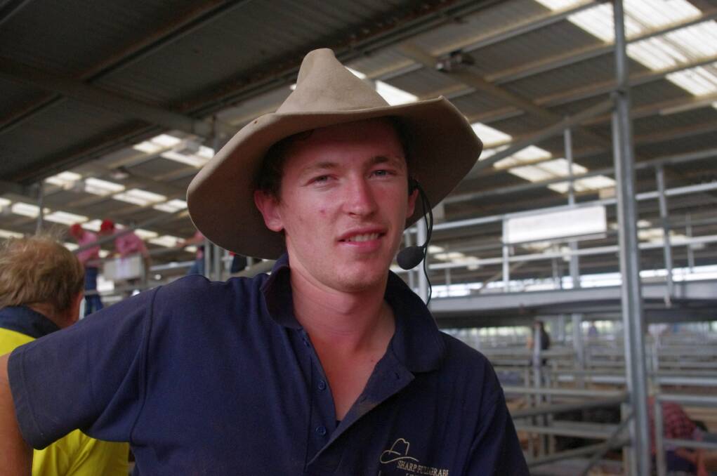 Michael O'Callaghan made his debut as a store cattle auctioneer at Bairnsdale, when he sold heifers on behalf of the Sharpe Fullgrabe livestock agency. Mr O'Callaghan come from a line of cattlemen and has been keen on becoming a stock and station agent since he was nine years old (he is now 22).
