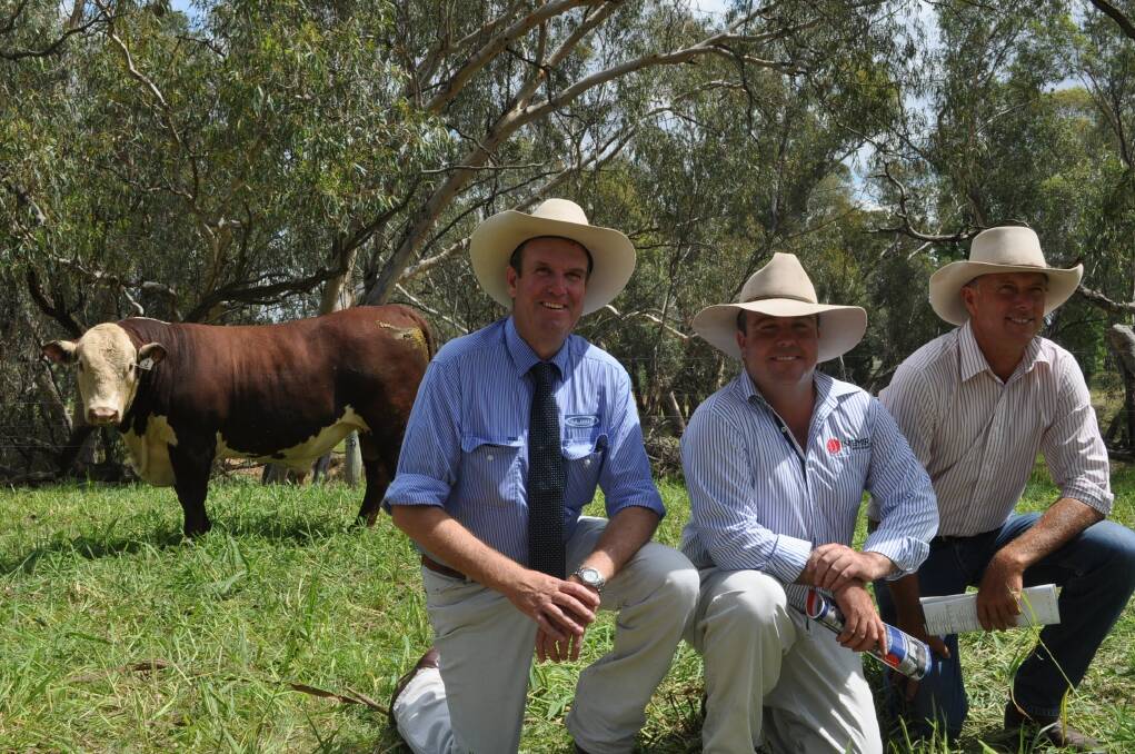Auctioneer Paul Dooley (left), Tamworth, NSW, with Injemira stud principal Marc Greening and top priced buyer Steve Reid Talbalba Herefords, Millmerran, Qld, who paid $32,000 with Days Whiteface for Injemira Anzac J188.