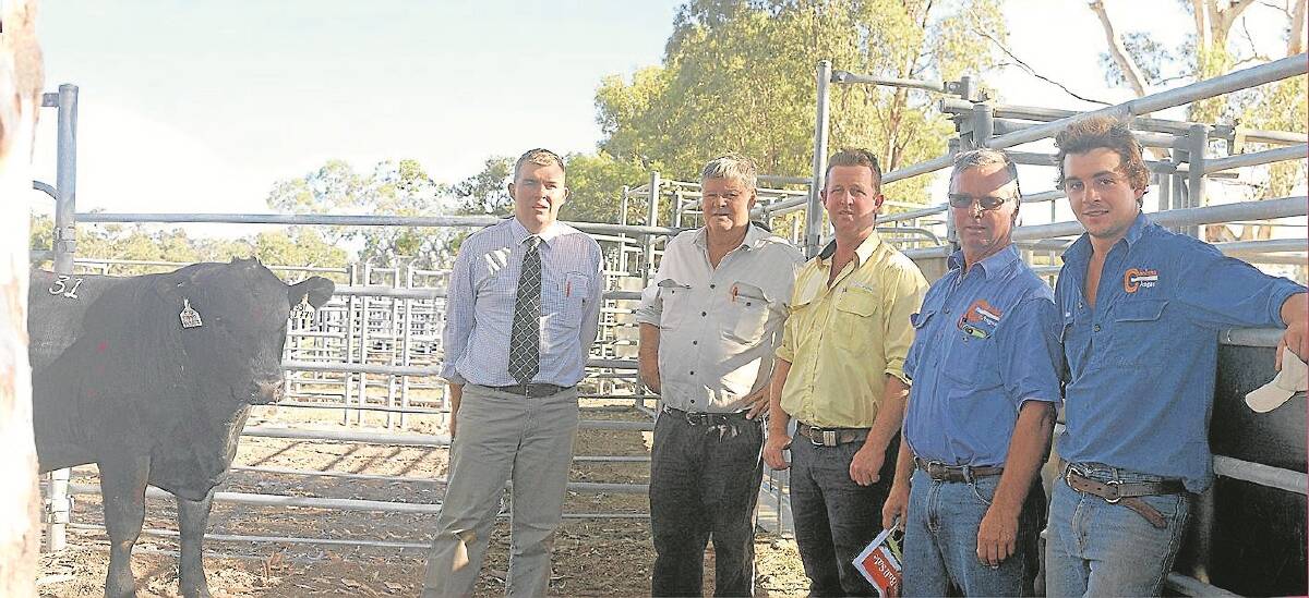 Pictured with Coolana Equator J779, the $7000 equal top-priced bull at the Coolana South Australia autumn bull sale and one of 20 bulls purchased by Benara Pastoral, Mount Gambier, SA, are Spence Dix & Co’s Mark O’Leary (left), Legh Winser, Benara, his buying agent Scott Creek, Ray White Keatley, Mount Gambier, and Coolana’s Mark and Max Gubbins, Hamilla Downs.