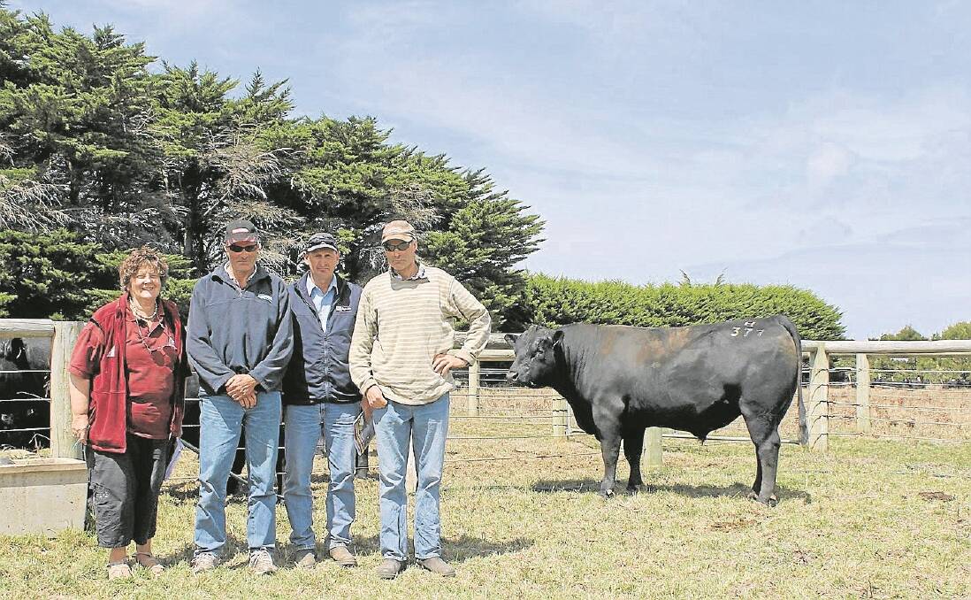 Rossander Angus stud principal Alison Anderson (left), with Lot 10 who topped the sale at $5000, and top priced buyers Peter and Gerard Ryan, Ryan Pastoral and their agent Glenn Judd of SKB Warrnambool.