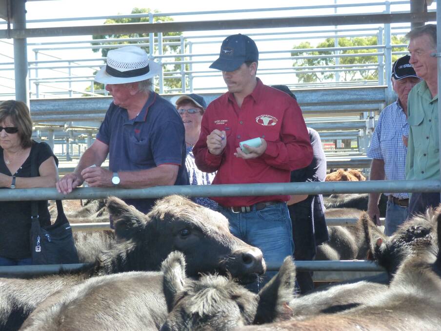 Buyers at the Ballarat store cattle sale on Friday.