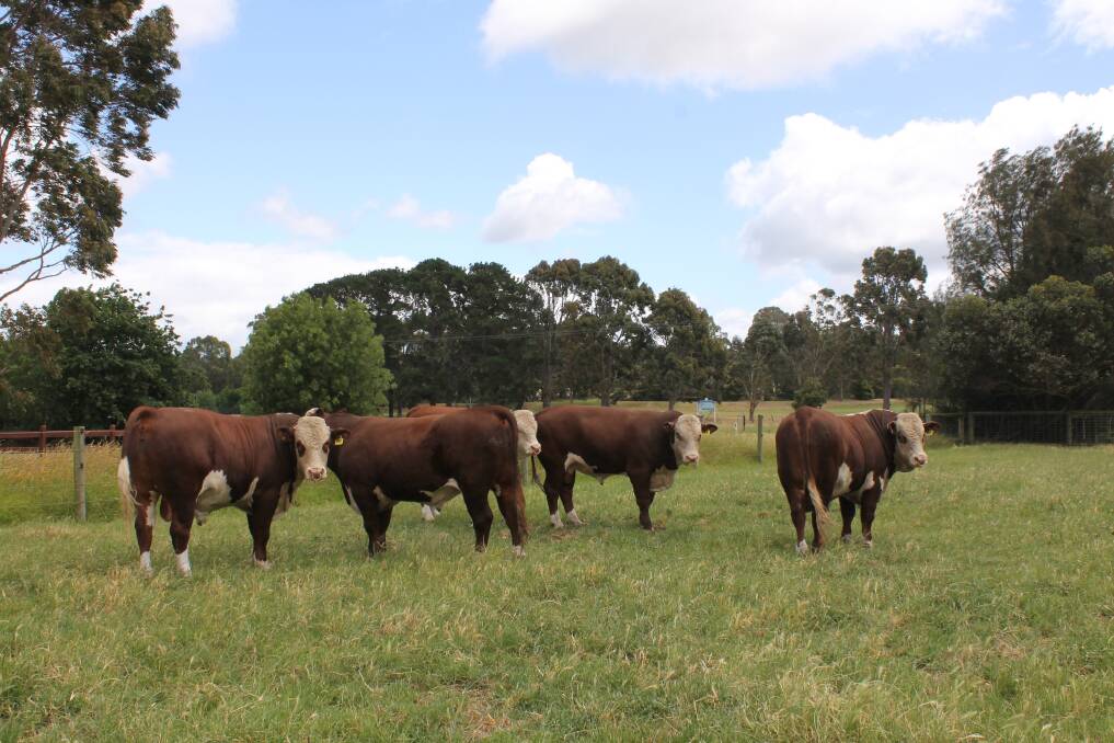 Beef exports to the US pulled up overall figures.